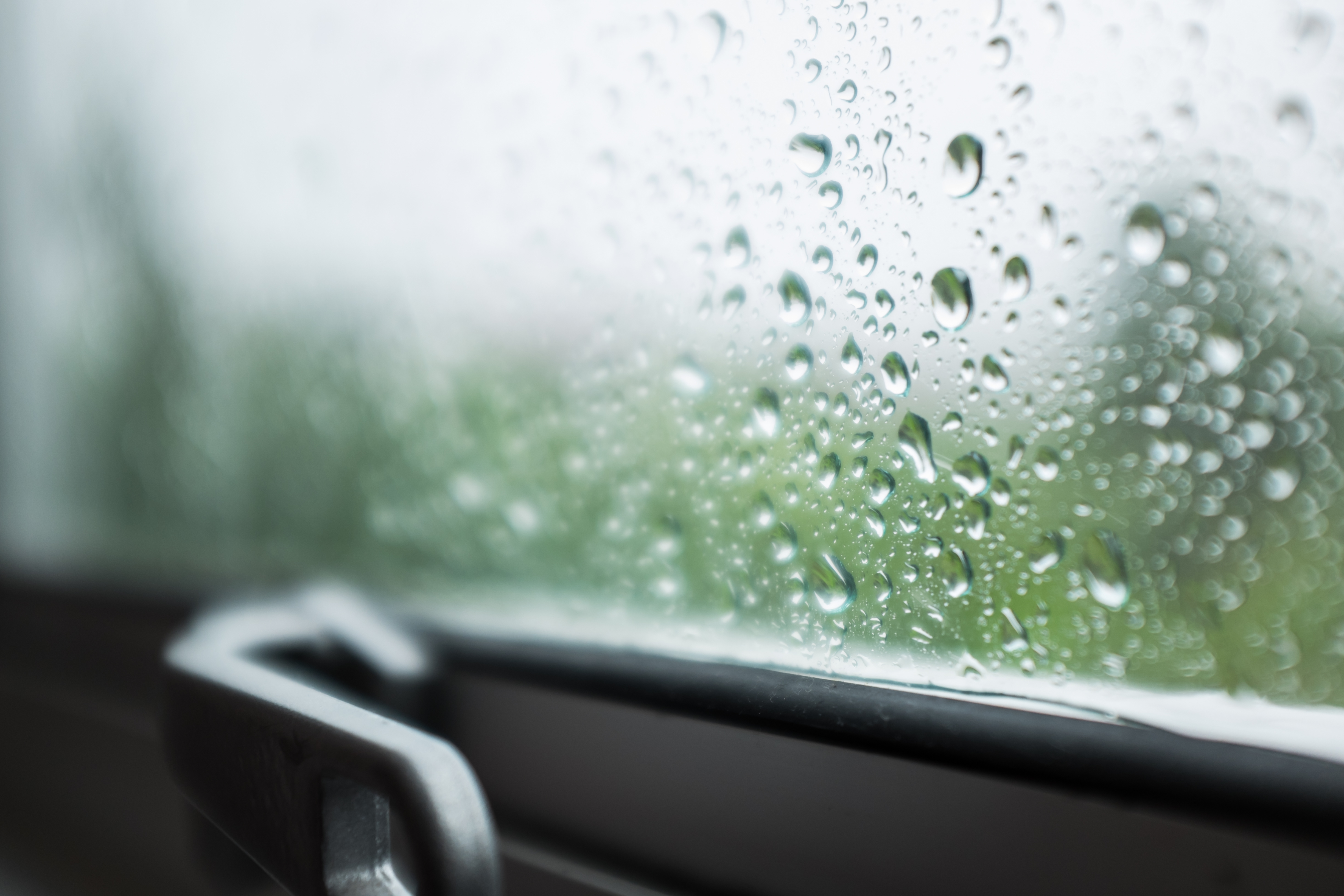 photo of a storm shelter window